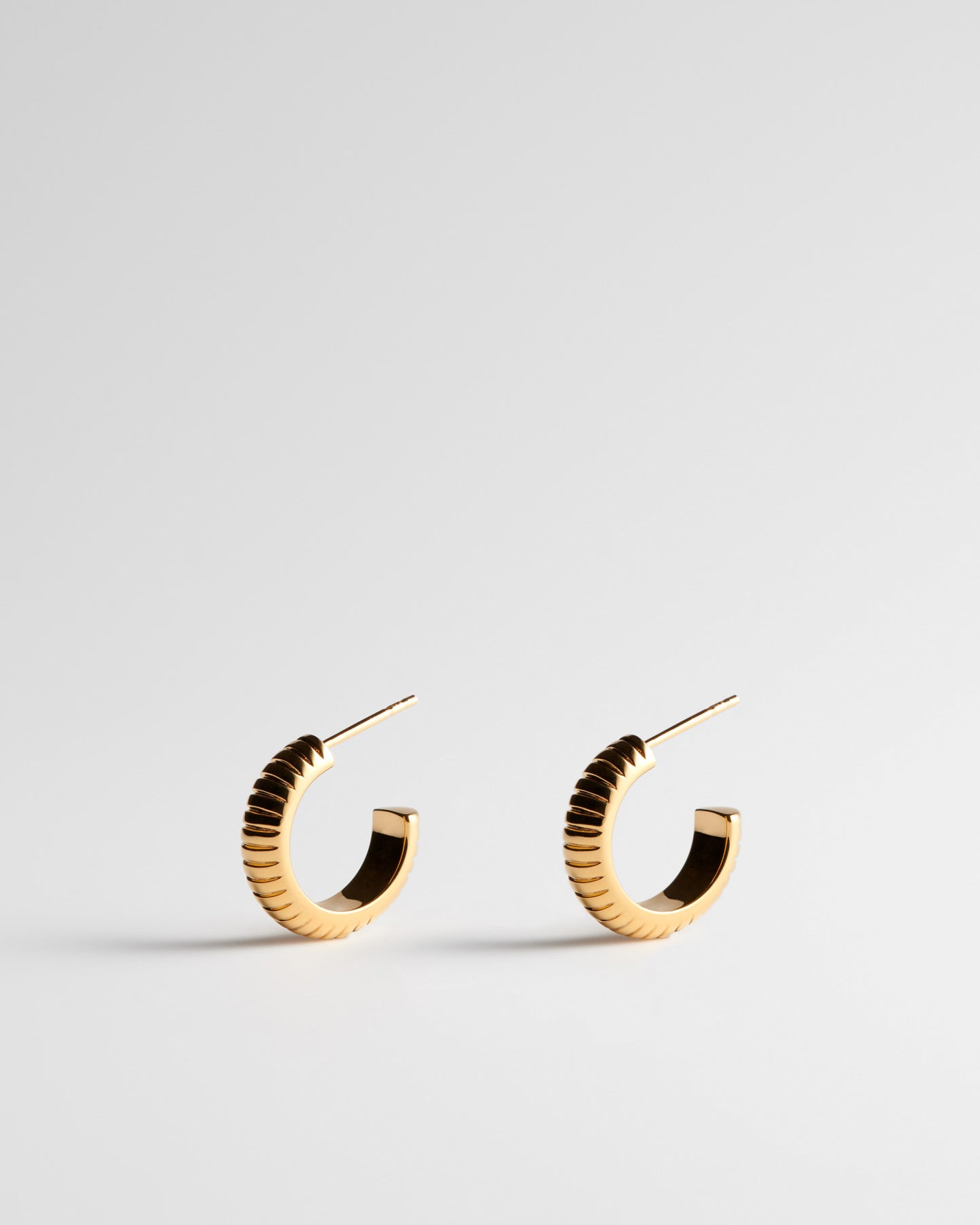 Timeline Hoop Earrings